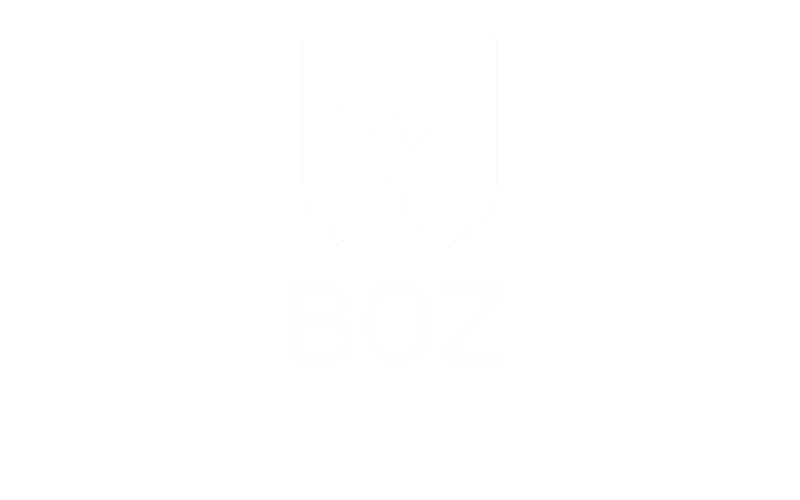 Boz Mobilya